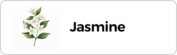 Jasmine
