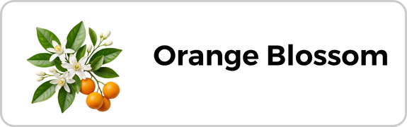 Orange Blossom
