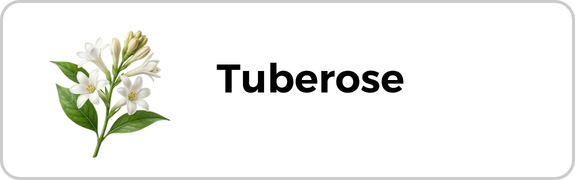 Tuberose